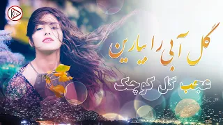آهنگ افغانی که دل ها را بهم نزدیک می کند گل را بیارین 
