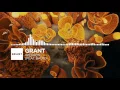 Download Lagu Grant - Weapon (feat. Baum) [Monstercat Release] 1 HOUR