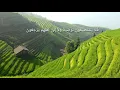 Download Lagu surat Yasin Qiraat imam warsh - syekh Hisyam Harras - Maroko