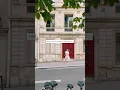 Download Lagu I took a two day pitstop in Paris just to…