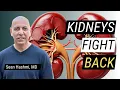 Lagu 51% Reduction in Kidney Damage Without Steroids—How