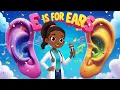 E is for Ears Fun Kids Song About Hearing Sounds Little Med Explorers
