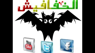 نون العنكبوته أيمن الربع ده حقي وانا بدلعو 