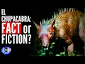 El Chupacabra A Deep Dive