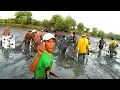Download Lagu panen raya serangan senja