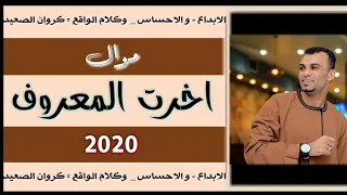 احمد عادل موال أخرت المعروف     كلام  من قلب الواقع   دندنها