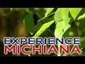 Experience Michiana Dowagiac Woods Nature Sanctuary