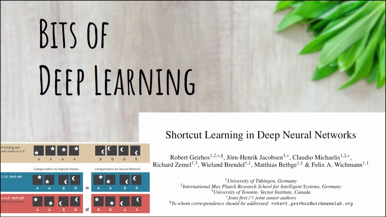 Shortcut Learning - A generalization problem in deep neural networks