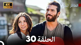 مسلسل الطائر المبكر الحلقة 30 4K Arabic Dubbed 