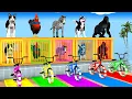 Download Lagu Long Slide Game With Cow Elephant Gorilla Hippopotamus Tiger 3d Animal Game Funny 3d Animals