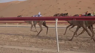 الشوط    مزون ل   خلفيه الكندي مصبح المرر توقيت          دندنها