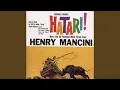 Theme from Hatari