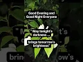 Download Lagu Good Evening Everyone 😴  #shorts #shortsviral #shortsvideo #shortsfeed #shortsyoutube