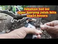 Lagu Lakukan hal ini supaya jalak suren bisa cepat bicara||cara yang sangat ampuh