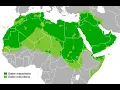 Arabic Wikipedia article