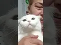 Download Lagu kartopunu çok seviyorum ama gördüğünüz gibi kendisini sevdirmiyor ama çok güzel sevdim doyasıya 🙋👌😍🤣