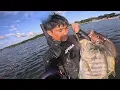 Lagu NAKABAWI SA PANGALAWANG SPOT🙌 | GOLDEN TREVALLIES 🎯🤑 #spearfishingphilippines 