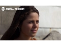 Animal Kingdom Stay Away - Season 1 Ep 8 CLIP TNT