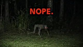 25 Scary Videos That Will Keep You Awake Tonight