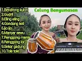 Calung banyumasan||full bass||pas buat teman perjalanan bulan Desember#calungbanyumasan 