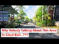 Download Lagu Why Nobody Talk About This Area In Ubud Bali..??