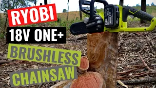 RYOBI 18v ONE Brushless Chainsaw Review - Should you buy