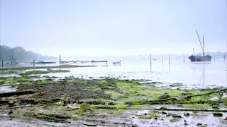 Exploring Britain’s Estuaries - The Quest for the Colchester Native Oyster