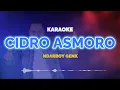 Download Lagu Cidro Asmoro Karaoke - Ndarboy Genk | KaroKoe Musik