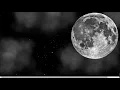 Twinkling Stars Animated Background With Html And CSS