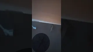 غساله اطفال الشطوره  غساله اطفال الشطوره