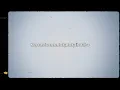 Future – Last Breath | From Creed (Lyrics)