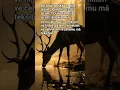 Download Lagu ACİL İSTEĞİ OLAN OKUSUN MUCİZEVİ ZİKİR 🤍 MAKBUL DUA 🤍 #islamicvideo