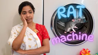 RAT MACHINE | RealityReels | Reethuz