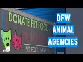 Animal advocates across DFW offer initiatives to support petowners