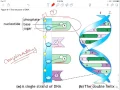 9 1 Why Do Cells Divide - Part 1