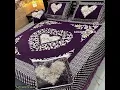 price 4000 velvet Bedsheet  for order +92 311 6213093