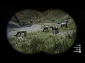 Appaloosa Herd Location South of Moonstone Pond Red Dead Redemption 2