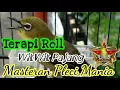 Download Lagu ZOSTEROPS THERAPY \u0026 ZOESTEROP MASTER SMART MASTERING!!!