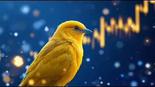 صوت طائر الصفاري او الصفرية دندنها