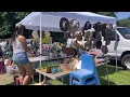 Biggest Flea Market in Connecticut The Elephant s Trunk New Milford CT
