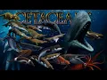Download Lagu The Evolution of Whales Explained: A 50-Million-Year Odyssey