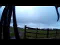 LiveLeak - Mole Cartel Display