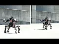 Centaur-like robot designed for disaster response