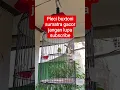 Download Lagu #pleci #kicaumania #plecibuxtoni #birds #pleciwitwit #burung #pleciisian #burungkicau#pleci