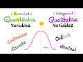 Types of Variables - Numerical vs Categorical