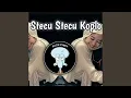 Lagu Stecu Stecu Koplo