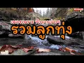 Download Lagu รวมลูกทุ่ง เพลงเพราะ ฟังยามว่างๆ     #เพลงเพราะ    #รวมเพลงลูกทุ่ง    #ลูกทุ่ง