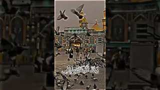 وقد اتيتك ياالهي مقطع من دعاء كميل بصوت ايراني 