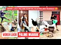 Lagu Meme Lucu, Paling Konyol \u0026 Paling Ngakak | Komedi Lucu #funnyvideo 