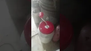                     دندنها